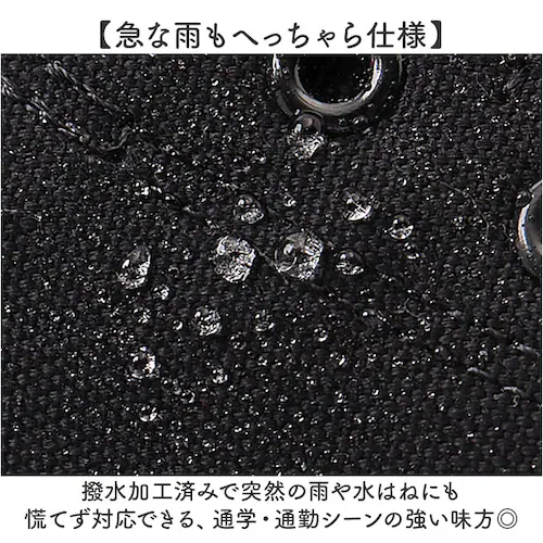 BLACK.M 23.5cm �X�j�[�J�[���f�B�[�X������� �ʔ� �p�[�\���Y ���f�B�[�X �L�����o�X�X�j�[�J�[ �ʊw �w�� ���[�J�b�g �y�� �y�� ������� ���킢�� �J�W���A���X�j�[�J�[ �J�W���A��_3