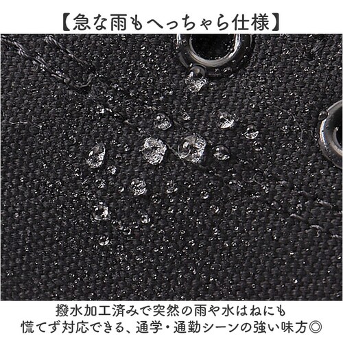 BLACK.M 22.5cm �X�j�[�J�[���f�B�[�X������� �ʔ� �p�[�\���Y �L�����o�X�X�j�[�J�[ ���f�B�[�X �y�� �y�� �ʊw �w�� ������� ���킢�� ���[�J�b�g �J�W���A�� �J�W���A���X�j�[�J�[_3