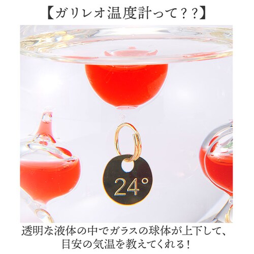 ��� �K���X�t���[�g���x�v ��� �ʔ� ���x�v �K�����I���x�v 333-218 �K�����I�T�[�����[�^�[ �u�� �u���� �C���e���A���x�v �I�u�W�F ���킢�� ������� �M�t�g ���蕨 �����j�� ����_2