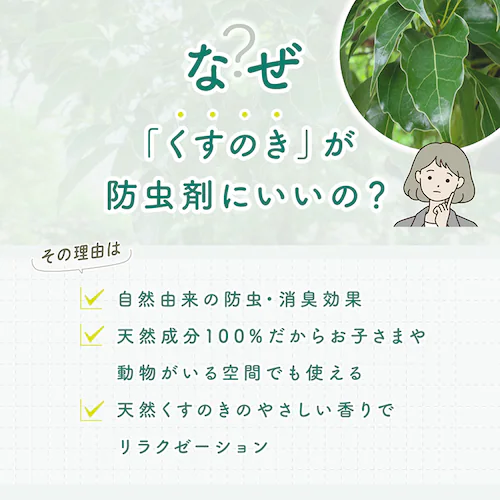 着物樟脳_2