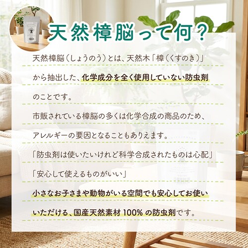 着物樟脳_3