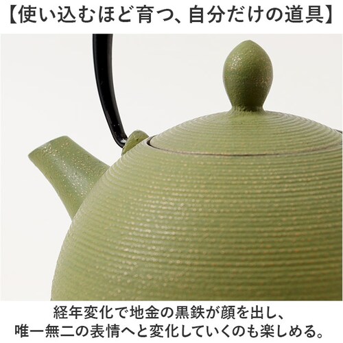 茜 南部鉄器 急須 おしゃれ 通販 日本製 鉄瓶 鉄急須 岩鋳 お茶 ポット 藍花 aika 日の丸 鉄製 冷めにくい 盛岡 南部 鋳鉄 南部鉄 南部鉄瓶 お湯 茶葉 来客 和室 ギフト 贈り物 日本_10