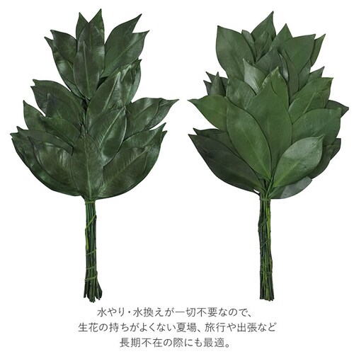 25cm プリザーブド 榊 通販 25cm 一対 プリザーブド榊 さかき サカキ 2本 枯れない 水やり不要 お盆 お供え 彼岸 仏壇 神棚 雑貨 インテリア_2