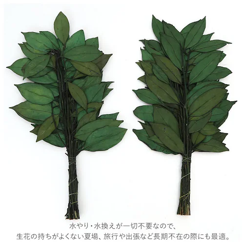 32cm �v���U�[�u�h �� �ʔ� 32cm ��� �v���U�[�u�h�� ������ �T�J�L 2�{ �͂�Ȃ� �����s�v ���~ ������ �ފ� ���d �_�I �G�� �C���e���A_3