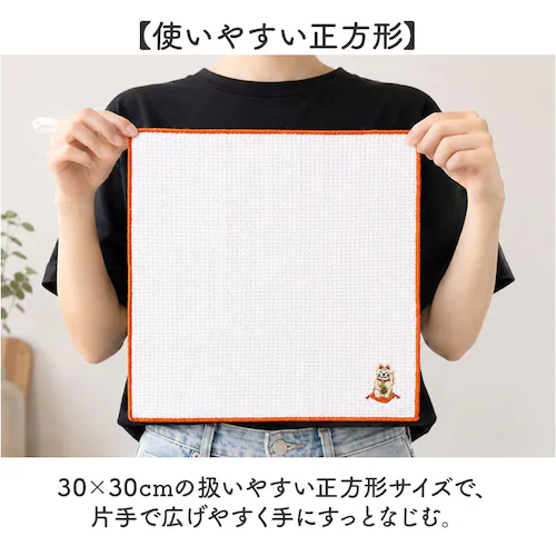 青富士 キッチンクロス おしゃれ 2枚組 通販 ディッシュクロス ふきん オシャレ 布巾 台拭き おしぼり キッチンタオル お皿拭き クロス 二枚組 かわいい 可愛い 台所用品 新生活 引っ越し祝い _4