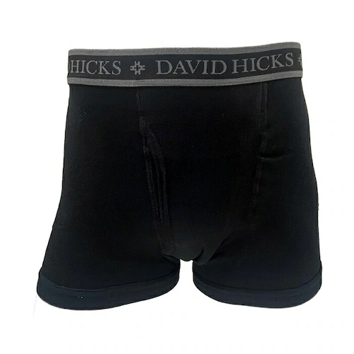 アソートB(099) 3Lサイズ ボクサーパンツ メンズ セット 4枚 通販 ちょい漏れパンツ David Hicks ボクサーブリーフ 尿漏れパンツ 男性用 パンツ 大きいサイズ 綿100 コットン_4