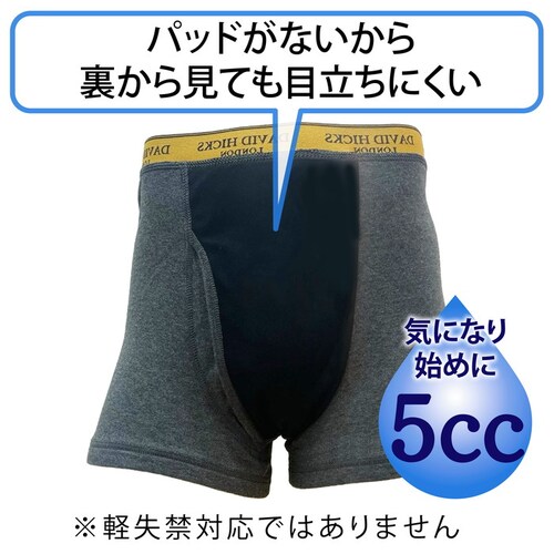 アソートC(099) Lサイズ ボクサーパンツ メンズ セット 4枚 通販 ちょい漏れパンツ David Hicks ボクサーブリーフ 尿漏れパンツ 男性用 パンツ エチケットパンツ 綿 コットン 4_2