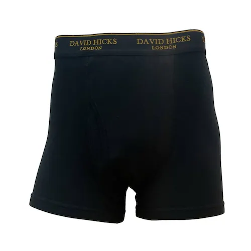 アソートC(099) Lサイズ ボクサーパンツ メンズ セット 4枚 通販 ちょい漏れパンツ David Hicks ボクサーブリーフ 尿漏れパンツ 男性用 パンツ エチケットパンツ 綿 コットン 4_7