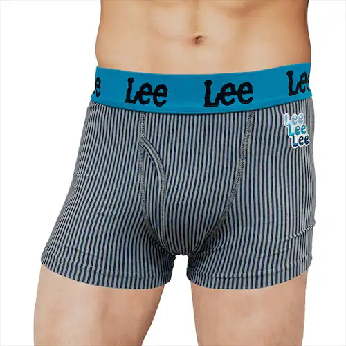 ネイビー(065) 5Lサイズ ボクサーブリーフ メンズ Lee 33058 通販 ボクサーパンツ ボクサーショーツ 前開き 前あき ブランド リー 男性 紳士 中学生 高校生 男子 ストレッチ おし_2