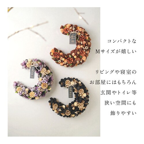 �I�����W�I�[�^��2025 �n���E�B�� �H ���[�X ���� �ʔ� �O�������[�X �I�[�^�����[�X �h���C���[�X M�T�C�Y ���a��25cm �N���b�Z���g���[�X GREEN HOUSE �O���[���n�E�X �V�R�f��_3