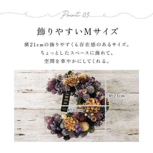 �I�����W�I�[�^��2025 �n���E�B�� �H ���[�X ���� �ʔ� �O�������[�X �I�[�^�����[�X �h���C���[�X M�T�C�Y ���a��25cm �N���b�Z���g���[�X GREEN HOUSE �O���[���n�E�X �V�R�f��_6