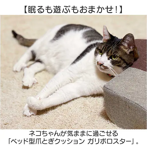 アイボリー/ベージュ 爪とぎ 猫 ベッド 通販 ベッド型 クッション ガリボロスター 明和グラビア GBS-01 猫つめとぎ オシャレ 爪とぎクッション ネコ爪研ぎ 猫爪研ぎ つめとぎ ストレス解消 _1