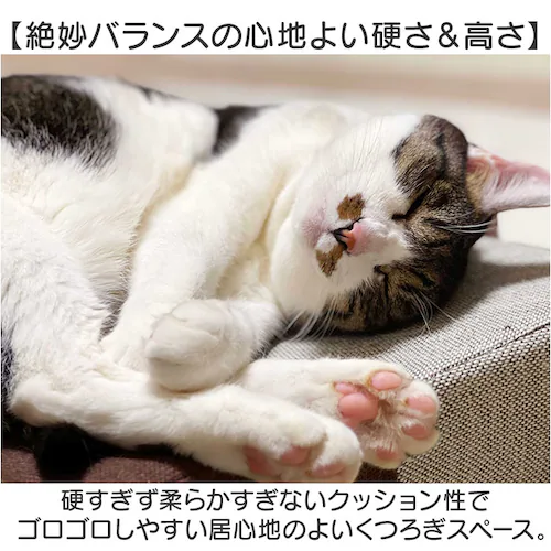 アイボリー/ベージュ 爪とぎ 猫 ベッド 通販 ベッド型 クッション ガリボロスター 明和グラビア GBS-01 猫つめとぎ オシャレ 爪とぎクッション ネコ爪研ぎ 猫爪研ぎ つめとぎ ストレス解消 _5