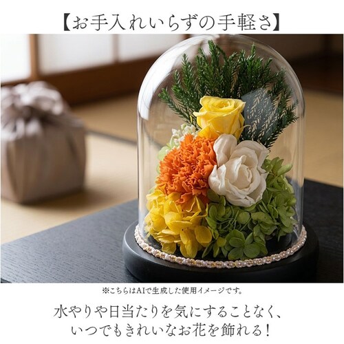 ��u���[ �v���U�[�u�h�t�����[ ���� �K���X�h�[�� �ʔ� �v���U�[�u�h �t�����[ �t�����[�A�����W�����g �K���X �h�[�� �a���K���X�h�[�� �������� ������ ���� �A�����W�����g �@�� ���ފ� �l�\��_3