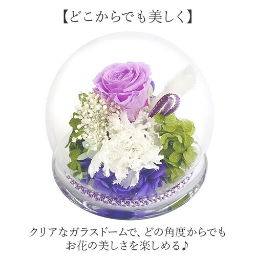 �z�C�G���[ �v���U�[�u�h �t�����[ ���� �K���X�h�[�� �ʔ� �t�����[�A�����W�����g �K���X �h�[�� �v���U�[�u�h�t�����[ �a���K���X�h�[�� ������ ���� �A�����W�����g �������� �@�� ���ފ� �l�\_3