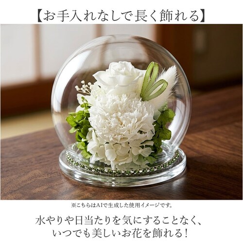 �z�C�G���[ �v���U�[�u�h �t�����[ ���� �K���X�h�[�� �ʔ� �t�����[�A�����W�����g �K���X �h�[�� �v���U�[�u�h�t�����[ �a���K���X�h�[�� ������ ���� �A�����W�����g �������� �@�� ���ފ� �l�\_4