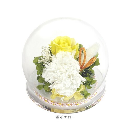 �z�C�G���[ �v���U�[�u�h �t�����[ ���� �K���X�h�[�� �ʔ� �t�����[�A�����W�����g �K���X �h�[�� �v���U�[�u�h�t�����[ �a���K���X�h�[�� ������ ���� �A�����W�����g �������� �@�� ���ފ� �l�\_13