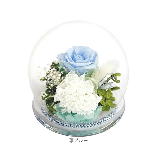 �z�C�G���[ �v���U�[�u�h �t�����[ ���� �K���X�h�[�� �ʔ� �t�����[�A�����W�����g �K���X �h�[�� �v���U�[�u�h�t�����[ �a���K���X�h�[�� ������ ���� �A�����W�����g �������� �@�� ���ފ� �l�\_14
