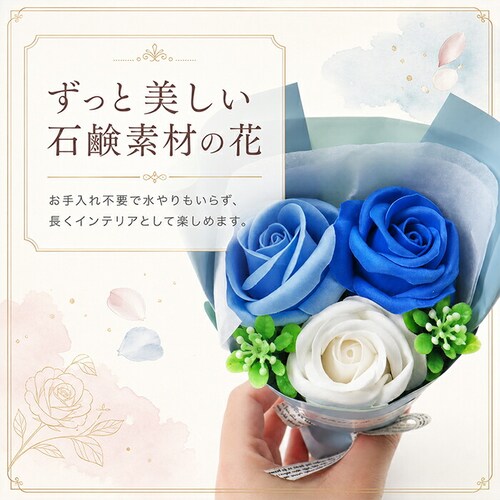 �t�����{���[�Y �\�[�v�t�����[ �ʂ������ �ԑ� �ʔ� ���� �\�[�v�t�����[�M�t�g �t�����[�\�[�v �t�����[�\�[�v�u�[�P �V���{���t�����[ �t���O�����X�t�����[ �u�[�P �M�t�g �{�b�N�X AM26RB_3