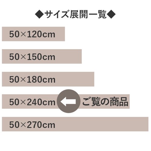 ペンテリコン/ライトグレー キッチンマット 240cm 通販 マスターキッチンラグ 約 240cm×50cm センコー ロングマット ラグマット マット ラグ 洗える 薄手 おしゃれ 滑り止め加工 床_2