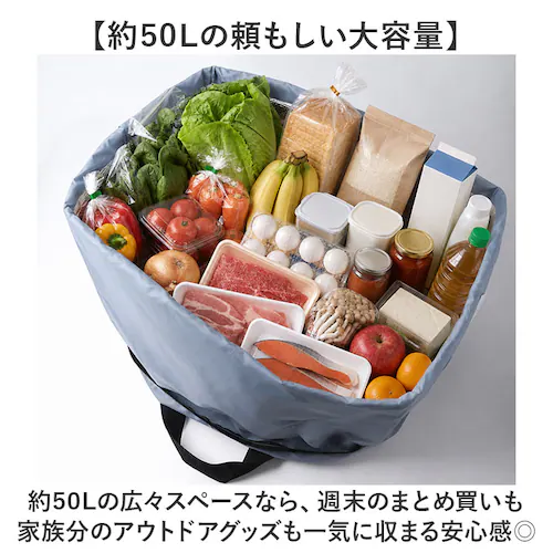 シマエナガEGR レジカゴ丸ごと保冷バッグ 通販 レジカゴ 丸ごと入る レジカゴが入るエコバッグ エコバッグ 折りたたみ 買い物バッグ 保冷バック レジカゴ用 レジかご用 ソフトクーラーボックス エコ_2