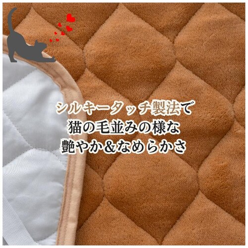 BR �~���p�b�h �V���O�� �t�����l�� �ʔ� �~�p�b�g �x�b�h�p�b�h �~���ѕz ���� ���������� �g���� �������� �ۉ� �~�M �y�� �y�� �g�� �ӂ�ӂ� �t���t�� �ӂ��� �}�C�N���t�@�C�o�[ ���G_6