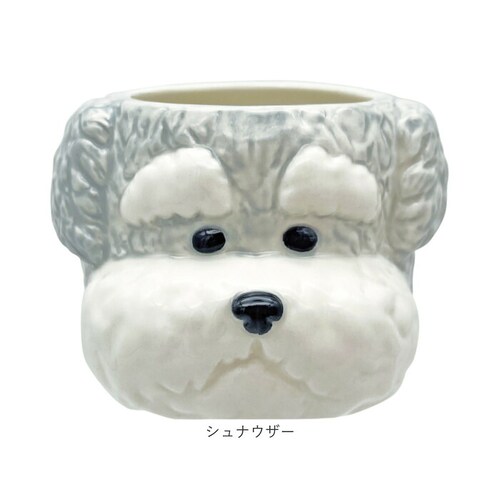WHITEZOO�A�U���V �����q ���� �ʔ� ���q ���ђ��q �јo ����� ���o ��l ������ ���킢�� ������� ���� �A�j�}�� �L�����N�^�[ �q�ǂ��p���q �� �{�E�� ���C�X�{�E�� �L�b�`���G��_12