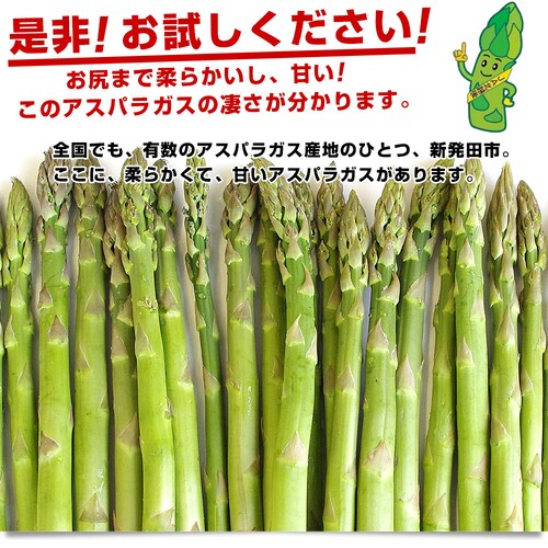 �V�������Y�n���� JA�k�V�� �V���c�̋ɑ��O���[���A�X�p�� L ��1�L�� ���������y��������3������18���ȓ��ɔ������܂��z_2