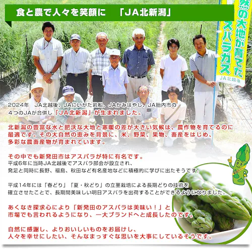 �V�������Y�n���� JA�k�V�� �V���c�̋ɑ��O���[���A�X�p�� L ��1�L�� ���������y��������3������18���ȓ��ɔ������܂��z_3
