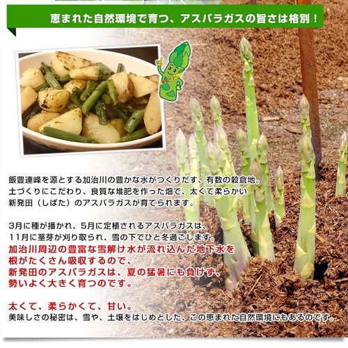 �V�������Y�n���� JA�k�V�� �V���c�̋ɑ��O���[���A�X�p�� L ��1�L�� ���������y��������3������18���ȓ��ɔ������܂��z_4