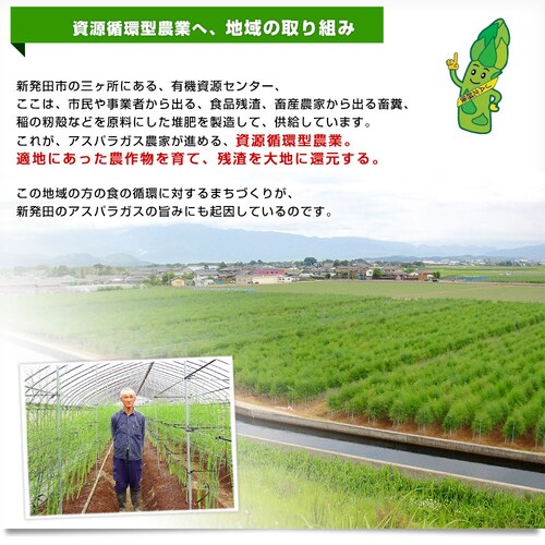 �V�������Y�n���� JA�k�V�� �V���c�̋ɑ��O���[���A�X�p�� L ��1�L�� ���������y��������3������18���ȓ��ɔ������܂��z_5