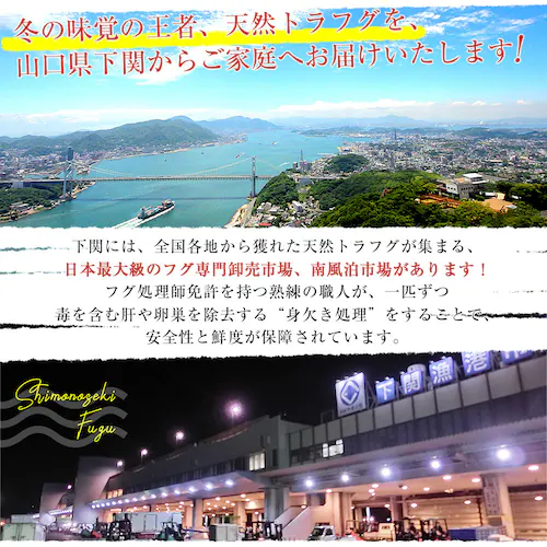 山口県下関市から直送 山賀 天然トラフグ刺身セット(刺身50g、皮刺し30g、ポン酢、もみじおろし)送料無料 河豚 ふぐ とらふぐ てっさ ※クール冷凍便【ご注文後3日から18日以内に発送します】_2