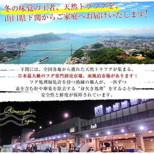 山口県下関市から産地直送 山賀 トラフグちり鍋セット(7つ道具入り) 国産天然トラフグちり(約400g) 送料無料 ふぐ【ご注文後3日から18日以内に発送します】_2