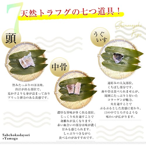 山口県下関市から産地直送 山賀 トラフグちり鍋セット(7つ道具入り) 国産天然トラフグちり(約400g) 送料無料 ふぐ【ご注文後3日から18日以内に発送します】_4