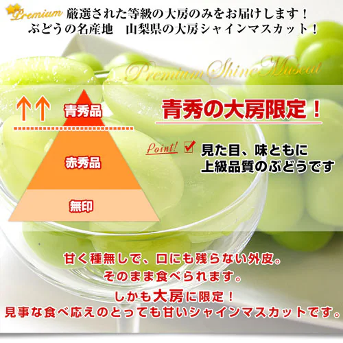 山梨県産 JAふえふき 御坂支所 シャインマスカット 大房限定 青秀品 約1.8キロ(3房入り)送料無料 クール便 葡萄 ぶどう【ご注文後3日から18日以内に発送します】_2