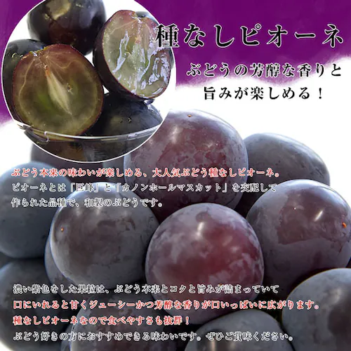 【敬老の日ギフト】山梨県又は長野県産 シャインマスカット&種なしピオーネ 秀品 各1房入り 合計約1キロ 送料無料 ブドウ ぶどう 葡萄 メッセージカード付き クール便【ご注文後3日から18日以内に発_3