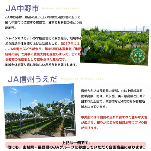【敬老の日ギフト】山梨県又は長野県産 シャインマスカット&種なしピオーネ 秀品 各1房入り 合計約1キロ 送料無料 ブドウ ぶどう 葡萄 メッセージカード付き クール便【ご注文後3日から18日以内に発_5