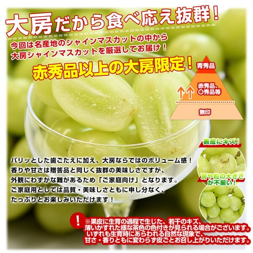 山梨県または長野県産 大房シャインマスカット ご家庭向け・赤秀品以上 1.1キロから1.2キロ前後(2房)送料無料(離島など一部地域を除く) ぶどう ブドウ 種なしぶどう 葡萄 ※クール便【ご注文後3_4