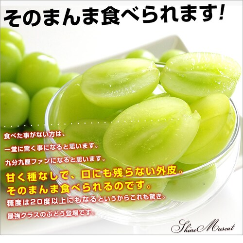 【敬老の日ギフト】山梨県産 JAふえふき 大型シャインマスカット 合計約1.2キロ(2房)送料無料※一部地域を除く ぶどう ブドウ 種なしぶどう ギフト 贈り物 メッセージカード付き クール便発送_2