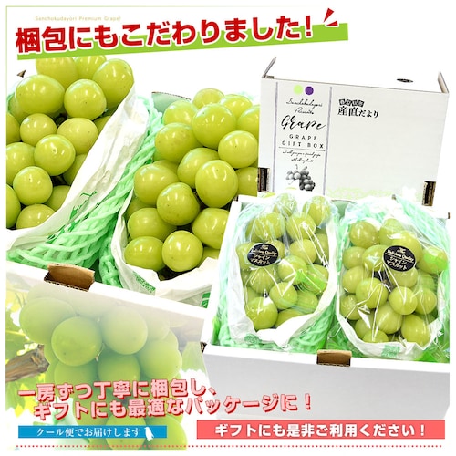 【敬老の日ギフト】山梨県産 JAふえふき 大型シャインマスカット 合計約1.2キロ(2房)送料無料※一部地域を除く ぶどう ブドウ 種なしぶどう ギフト 贈り物 メッセージカード付き クール便発送_3