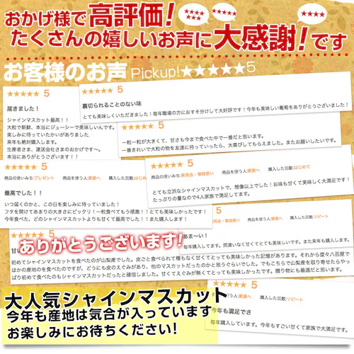 【敬老の日ギフト】山梨県産 JAふえふき 大型シャインマスカット 合計約1.2キロ(2房)送料無料※一部地域を除く ぶどう ブドウ 種なしぶどう ギフト 贈り物 メッセージカード付き クール便発送_4