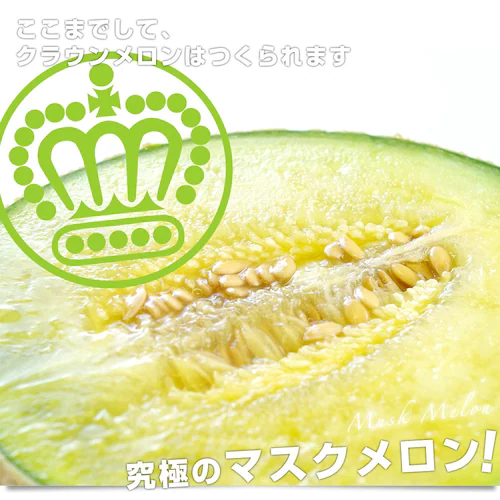 静岡県より産地直送 静岡県温室農業協同組合クラウンメロン支所 クラウンメロン 白 7.5キロ (6玉) 送料無料 めろん_8