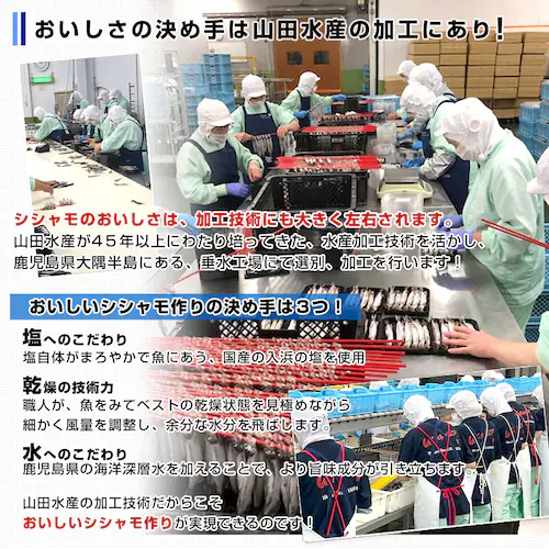 ���������R�c���Y��蔭���@�����������H�@����@�q�����J���t�g�V�V�����i�A�C�X�����h�Y�j1�L���i50���O��j���N�[���Ⓚ�ց@���������@��������@�V�[�t�[�h�y��������3������18���ȓ��ɔ������܂��z_4