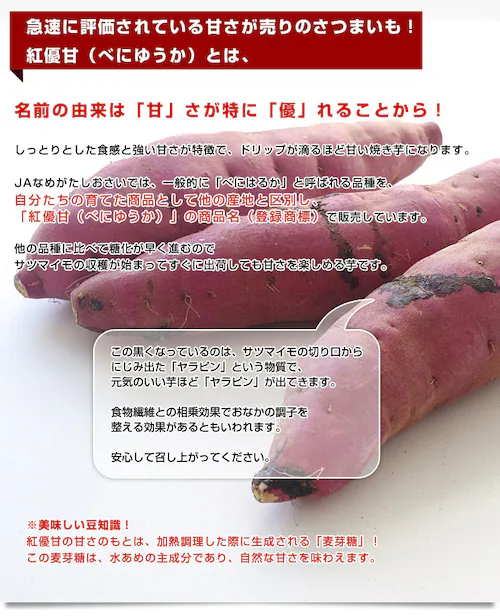 茨城県より産地直送 JAなめがたしおさい さつまいも「紅優甘 (べにゆうか)」 Mサイズ 5キロ(18本前後) 送料無料 さつま芋 サツマイモ 薩摩芋_2