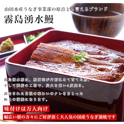 敬老の日ギフトにも最適! 鹿児島県志布志産 山田水産 霧島湧水うなぎ 長蒲焼き 大サイズ3尾セット(140g前後×3尾)送料無料 鰻師 加藤尚武さん ギフト シーフード ギフト対応化粧箱 ギフト【ご注_2