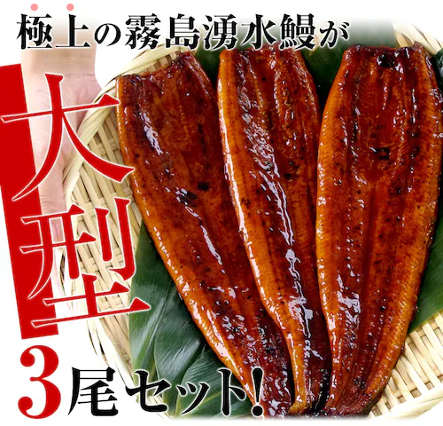敬老の日ギフトにも最適! 鹿児島県志布志産 山田水産 霧島湧水うなぎ 長蒲焼き 大サイズ3尾セット(140g前後×3尾)送料無料 鰻師 加藤尚武さん ギフト シーフード ギフト対応化粧箱 ギフト【ご注_3