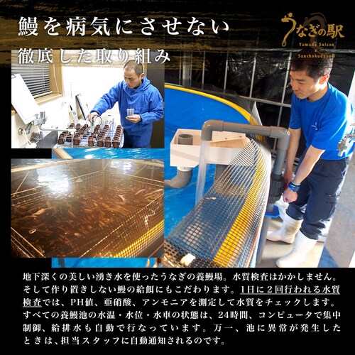 敬老の日ギフトにも最適! 鹿児島県志布志産 山田水産 霧島湧水うなぎ 長蒲焼き 大サイズ3尾セット(140g前後×3尾)送料無料 鰻師 加藤尚武さん ギフト シーフード ギフト対応化粧箱 ギフト【ご注_6