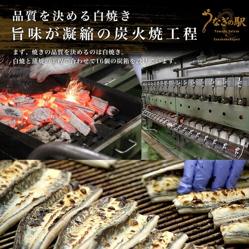 敬老の日ギフトにも最適! 鹿児島県志布志産 山田水産 霧島湧水うなぎ 長蒲焼き 大サイズ3尾セット(140g前後×3尾)送料無料 鰻師 加藤尚武さん ギフト シーフード ギフト対応化粧箱 ギフト【ご注_9