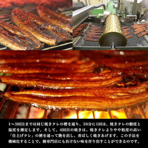 敬老の日ギフトにも最適! 鹿児島県志布志産 山田水産 霧島湧水うなぎ 長蒲焼き 大サイズ3尾セット(140g前後×3尾)送料無料 鰻師 加藤尚武さん ギフト シーフード ギフト対応化粧箱 ギフト【ご注_12