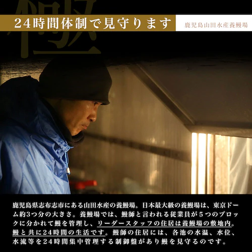 鹿児島県産 山田水産の極上国産うなぎ蒲焼「山田の粋(やまだのいき)」(大型サイズのカット真空80g×5枚) 送料無料 鰻蒲焼 ウナギ【ご注文後3日から18日以内に発送します】_3